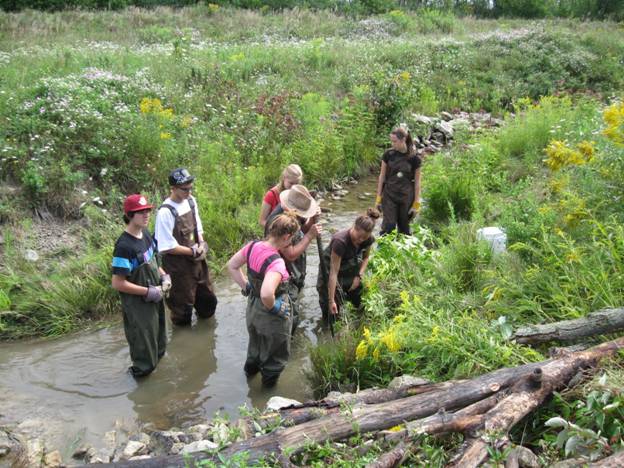 Volunteers work on Black Ash Creek restoration
