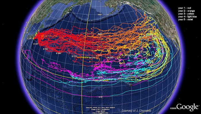 Japan-tsunamu-debris-Google-maps