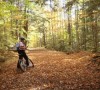Copeland Forest - Simcoe County Trails photo
