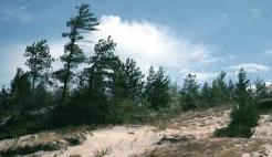 Wastage Beach Provincial Park