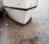 Raw sewage in Toronto's inner harbour after an August storm. -Swim Drink Fish Canada photo